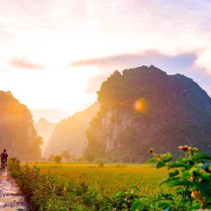 Vietnam package tours