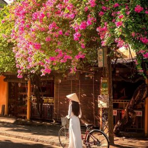 Hoi An Day Tours: A Guide to Best Day Trips From Hoi An