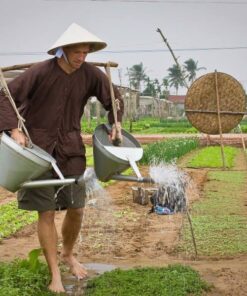 Hoi An  Tra Que Herbs village