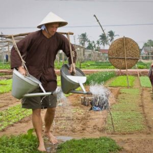 Hoi An  Tra Que Herbs village
