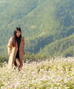 6 Days Hanoi - Ha Giang - Cao Bang: Visit Tu San Canyon, Dong Van and Ban Gioc Waterfall