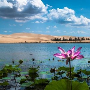 From Ho Chi Minh To Mui Ne Best Day Tour