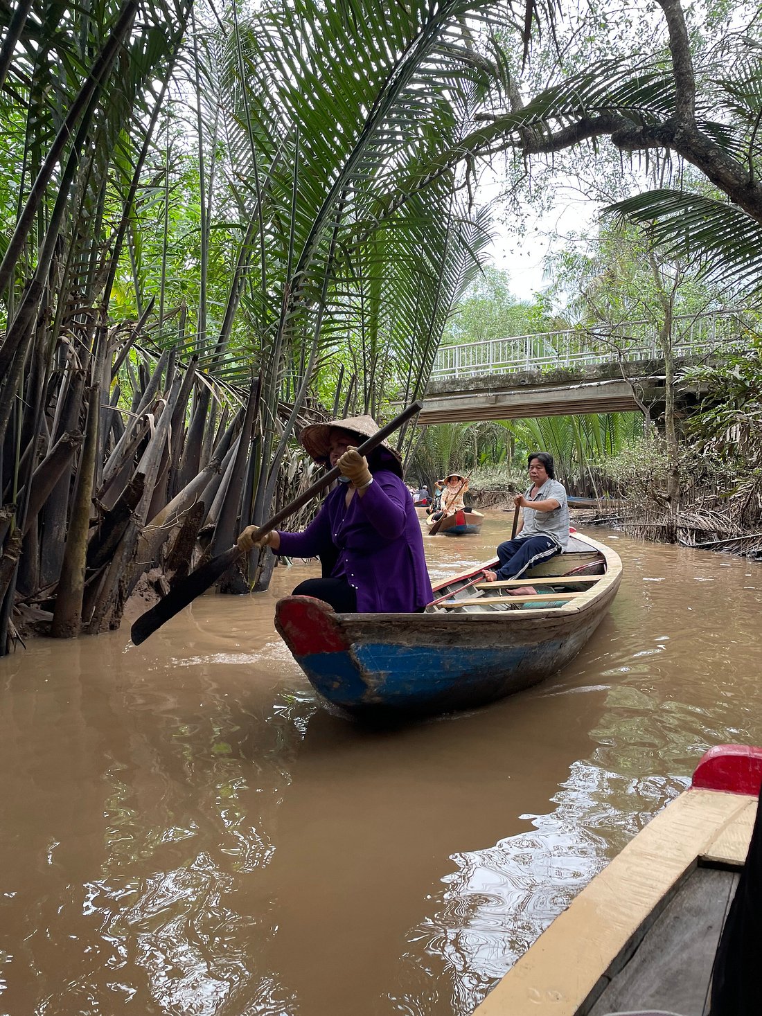 Mekong delta 1