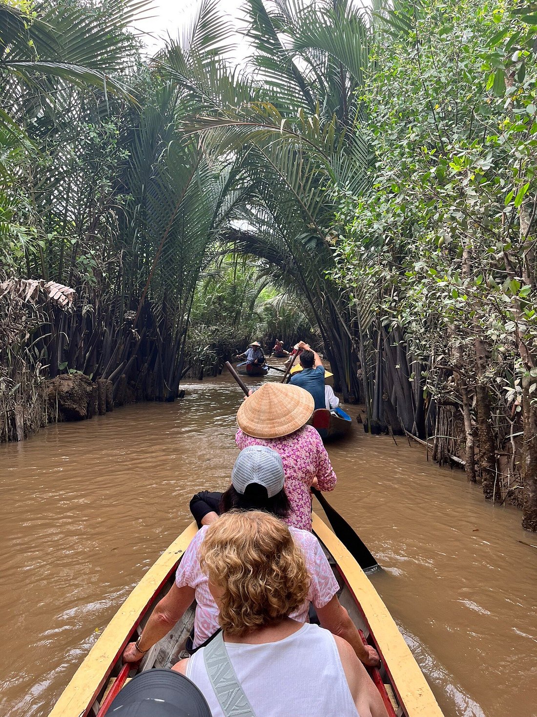 Mekong delta