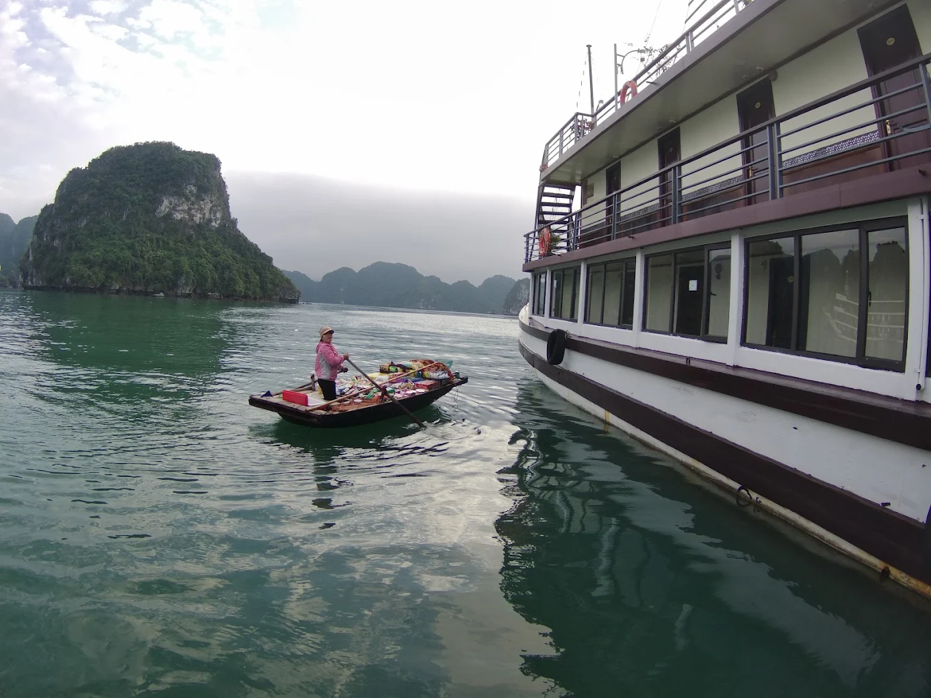 lavender cruise