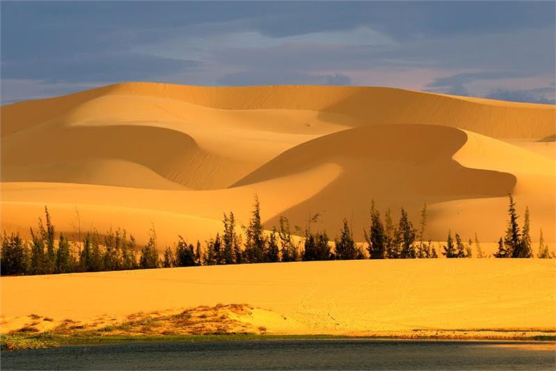 sand dune muine