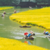 HOA LU – TAM COC – CUC PHUONG NATIONAL PARK – PHAT DIEM CHURCH TWO DAY TOUR