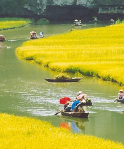 HOA LU – TAM COC – CUC PHUONG NATIONAL PARK – PHAT DIEM CHURCH TWO DAY TOUR