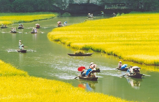 HOA LU – TAM COC – CUC PHUONG NATIONAL PARK – PHAT DIEM CHURCH TWO DAY TOUR