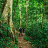 CUC PHUONG NATIONAL PARK FULL DAY TOUR 2 CUC PHUONG NATIONAL PARK FULL DAY TOUR
