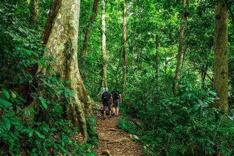 CUC PHUONG NATIONAL PARK FULL DAY TOUR